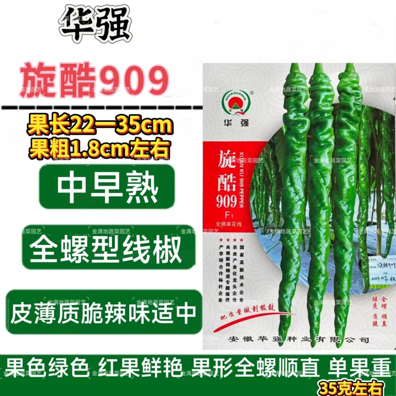 华强旋酷909螺丝椒种子中早熟皮薄辣椒种子全螺型线椒种子