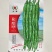 华强旋酷929螺丝椒种子中早熟全螺型线椒麻面顺直辣椒种子