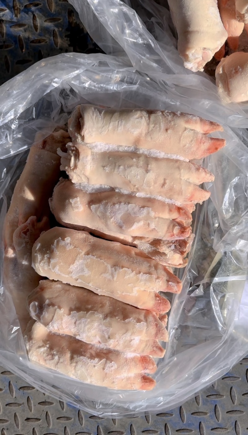 母猪蹄（混蹄）（12-15）（15-17）规格齐全