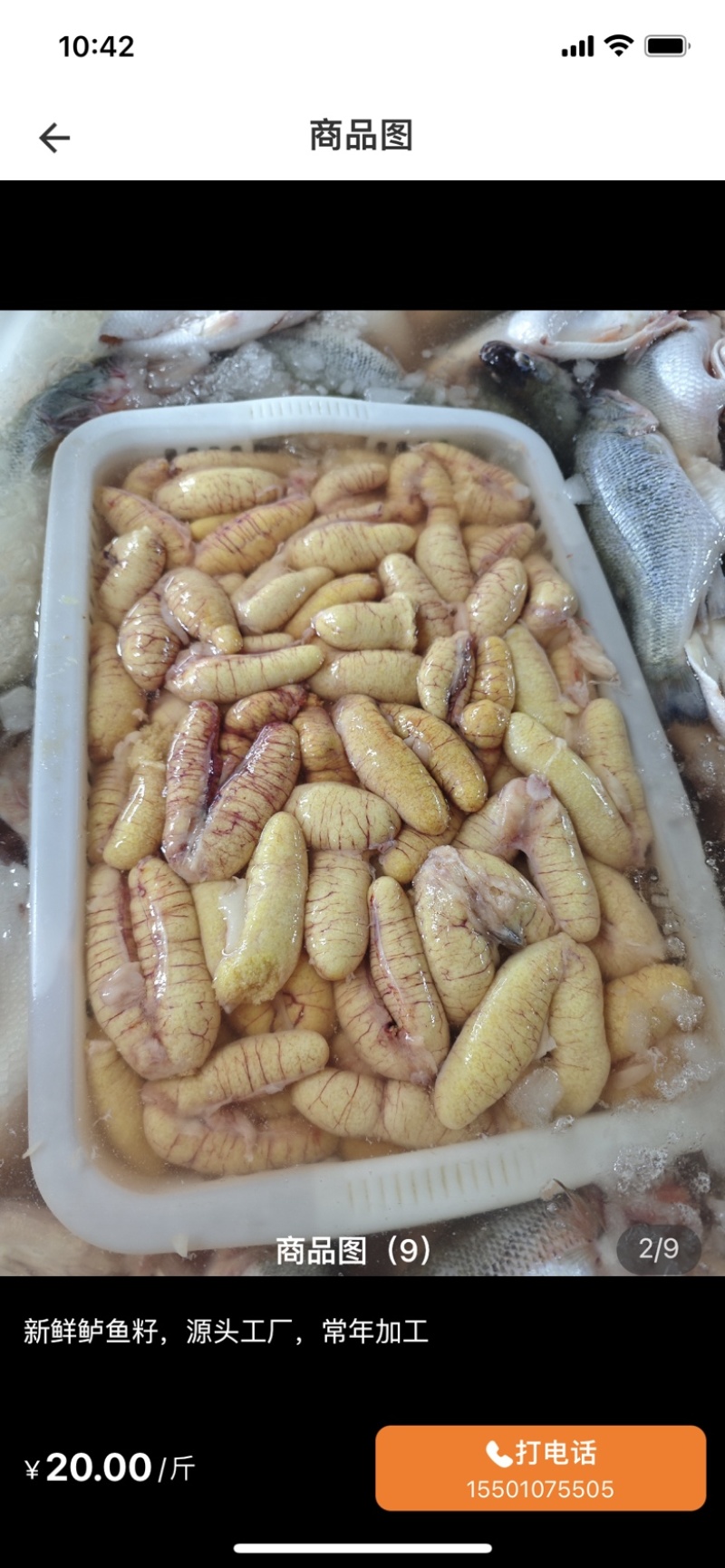 鲈鱼鱼籽精品鱼籽可视频看货实地考察量大价优电联
