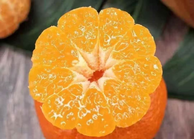 广西南宁砂糖橘，欢迎大量采购或一件代发