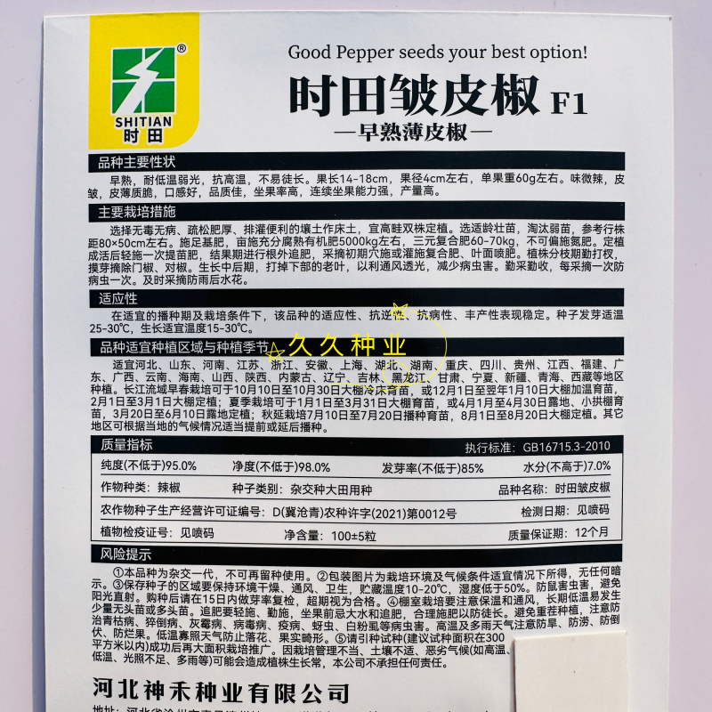 时田皱皮椒早熟薄皮椒辣椒种子早熟薄皮椒四季播种家庭蔬
