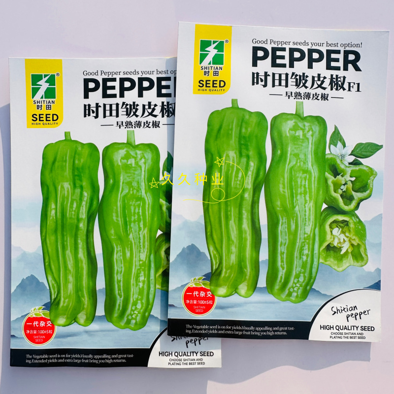时田皱皮椒早熟薄皮椒辣椒种子早熟薄皮椒四季播种家庭蔬