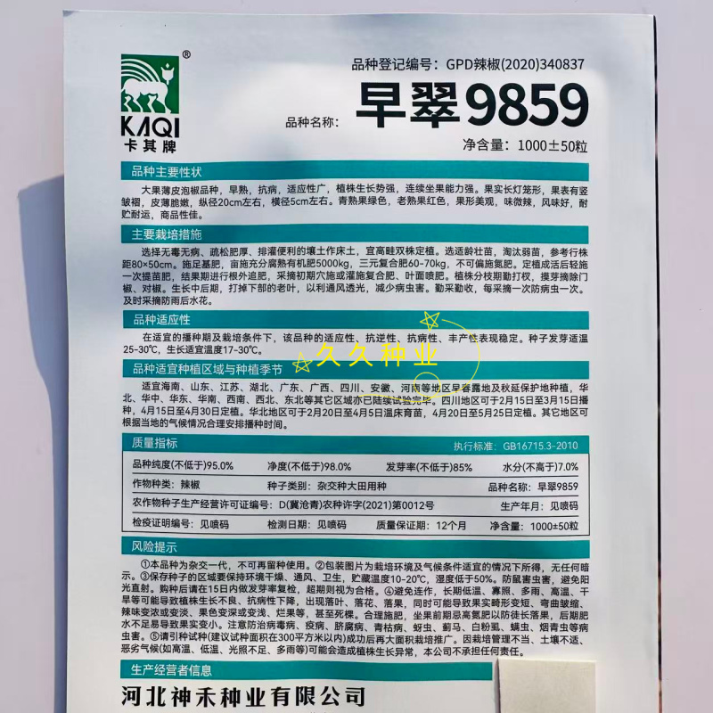 早翠9859大果型薄皮辣椒种子早熟抗病抗逆高产耐低温弱