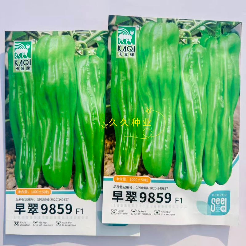 早翠9859大果型薄皮辣椒种子早熟抗病抗逆高产耐低温弱