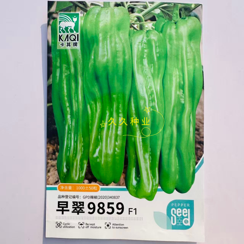 早翠9859大果型薄皮辣椒种子早熟抗病抗逆高产耐低温弱