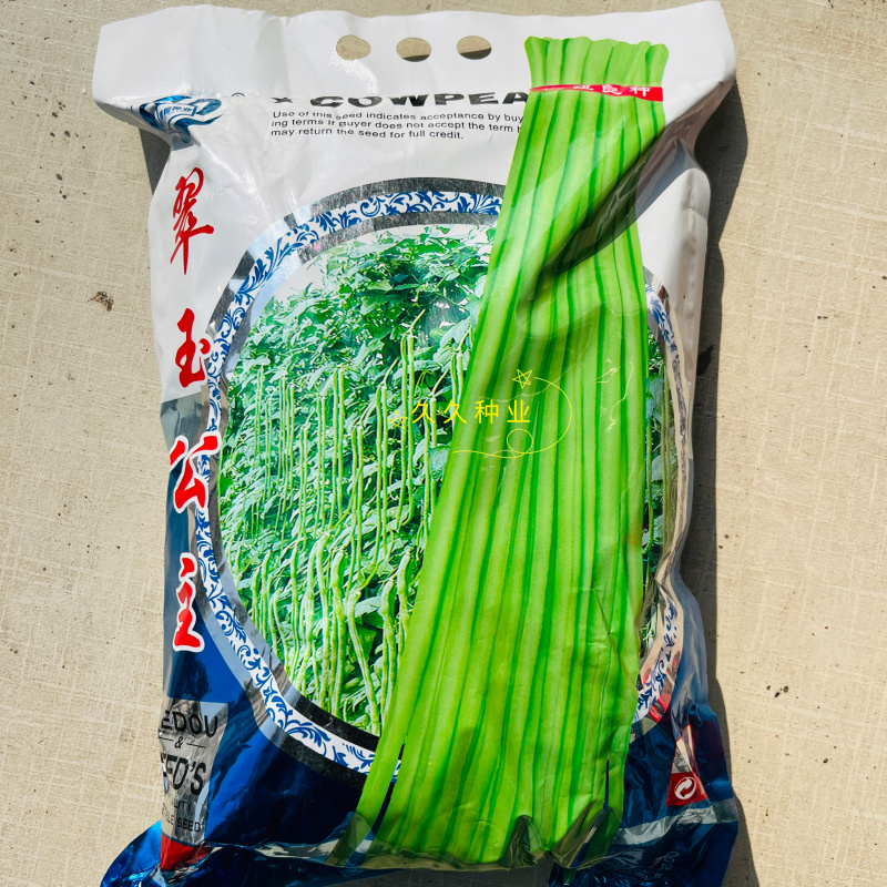 翠玉公主豇豆种子豆角种子翠绿色厚肉长条型豆角中早熟高产