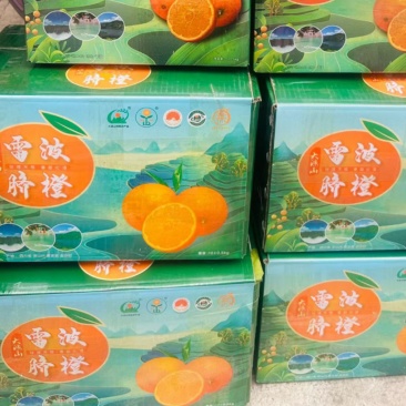 雷波脐橙