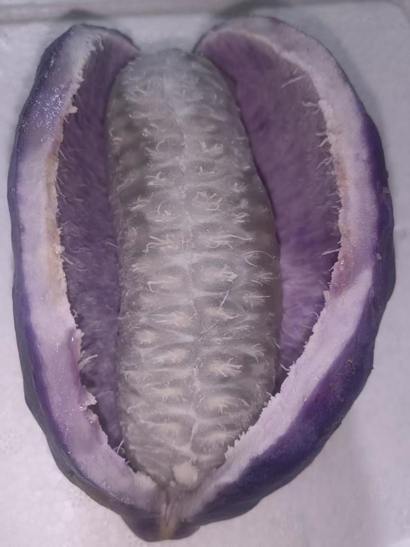 八月瓜
