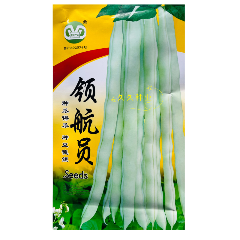 领航员架豆种子高产早熟大连白圆扁架豆种籽九粒白芸豆