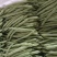青芸九号金豆王青豆角种子四季豆种籽高产小金豆耐热春秋播蔬