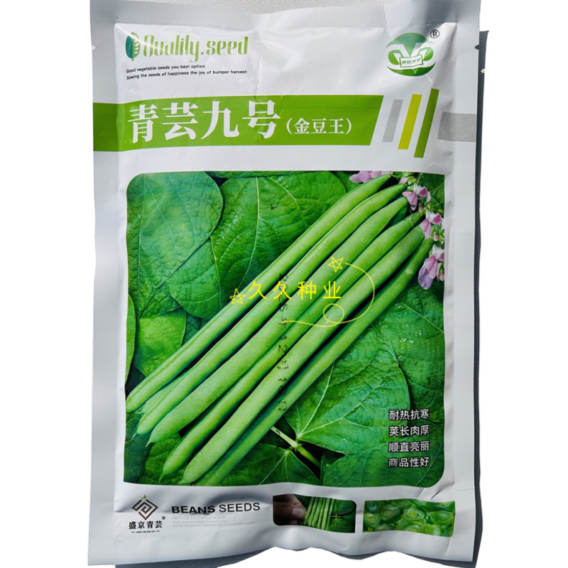 青芸九号金豆王青豆角种子四季豆种籽高产小金豆耐热春秋播蔬