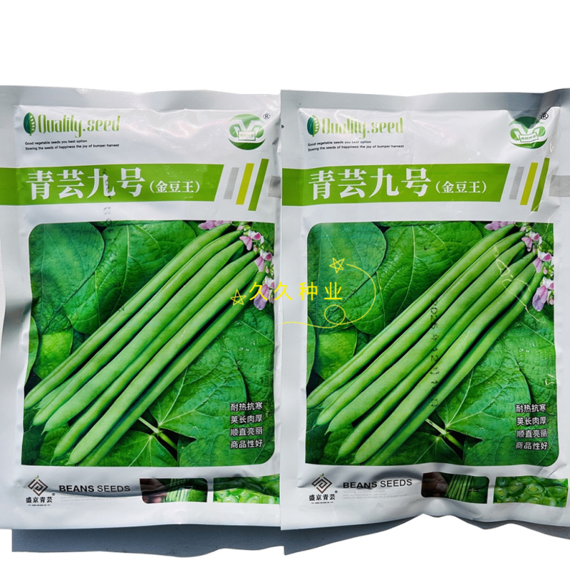 青芸九号金豆王青豆角种子四季豆种籽高产小金豆耐热春秋播蔬