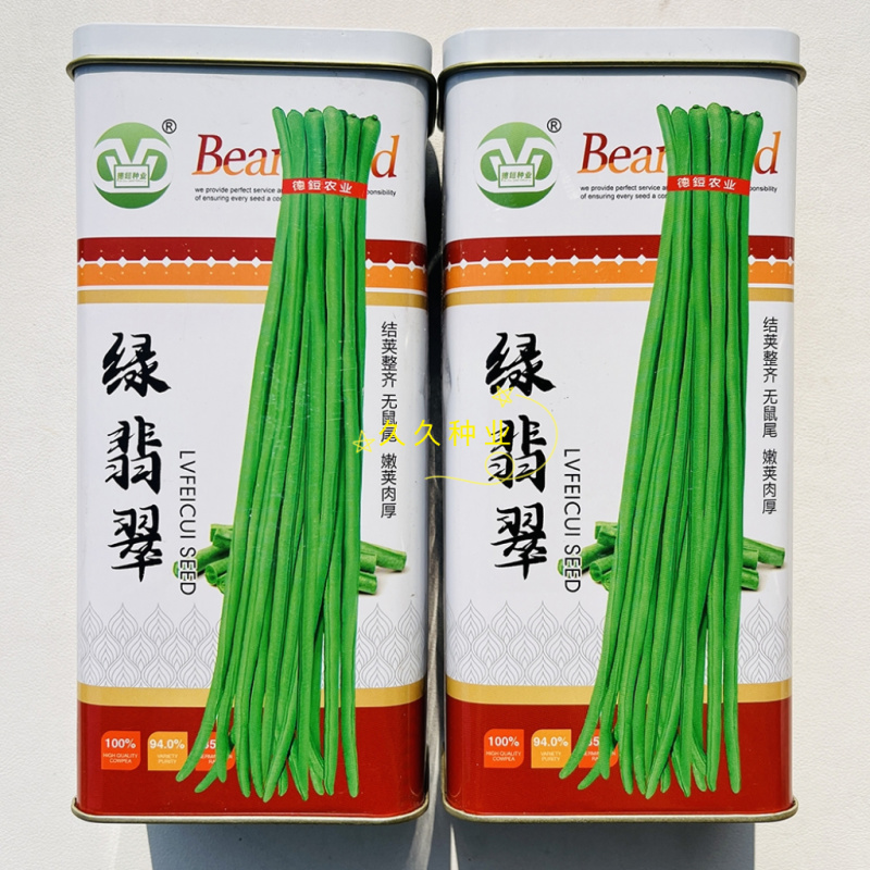 绿翡翠豇豆种子春夏秋播高产抗病南方北方农家菜园大田长豆角