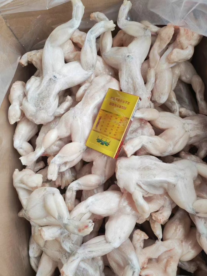 活鲜牛蛙，冰冻牛蛙