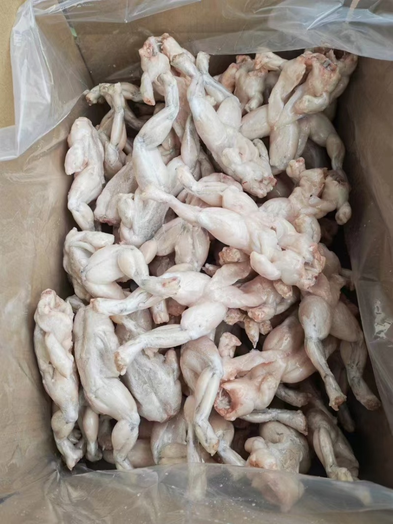 活鲜牛蛙，冰冻牛蛙