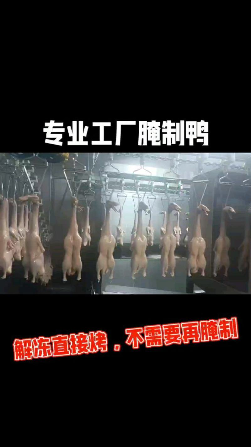 盐水鸭10元一只