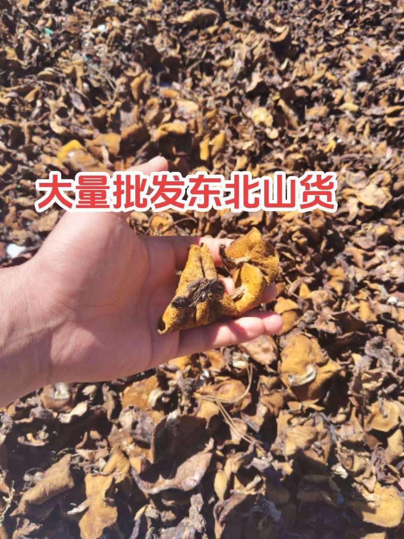批发东北松磨***********