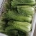 黄心精品龙芽菜基地直发货源充足支持全国发货