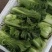 黄心精品龙芽菜基地直发货源充足支持全国发货