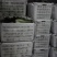 黄心精品龙芽菜基地直发货源充足支持全国发货