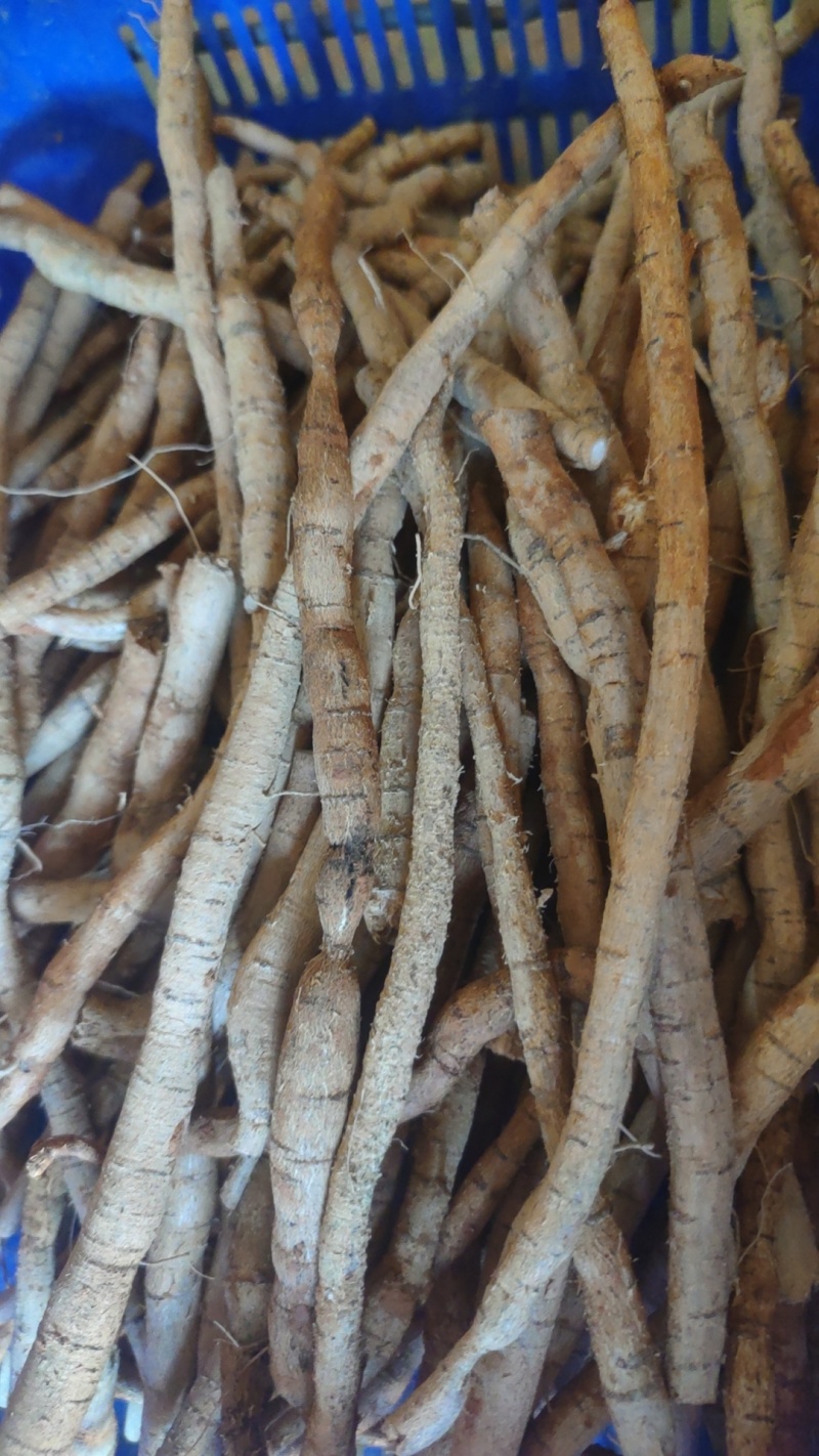 牛大力鲜货精选小次