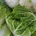 江苏黄心白菜新鲜上市价格美丽质量好对接全国量大从优欢迎询