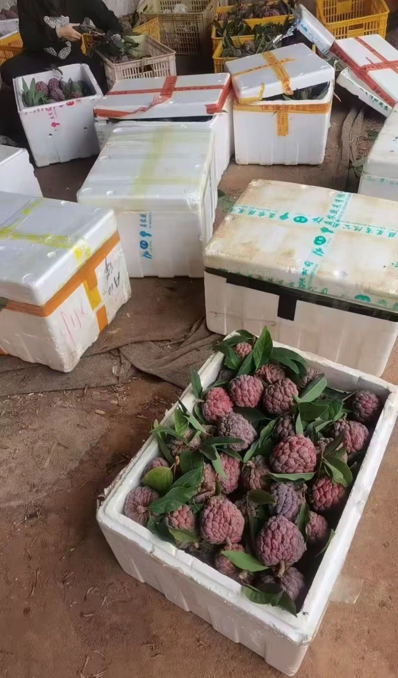 玫瑰释迦果批发
