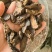 生地河南焦作地产生地片规格齐全量大从优