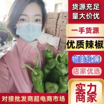 推荐鲜辣椒301辣椒尖椒【以质论价】产地直发现摘现卖