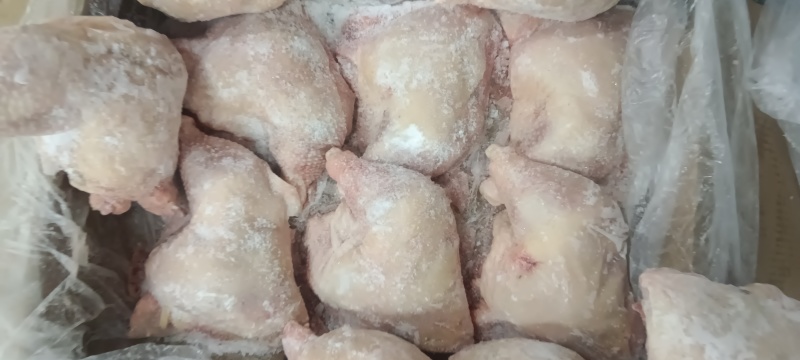 临沂优质老鸡边腿，500天左右白毛种母鸡可做带尾去尾边腿