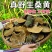 野生桑黄正品桑黄整枝切块纯野生桑黄干货中药材