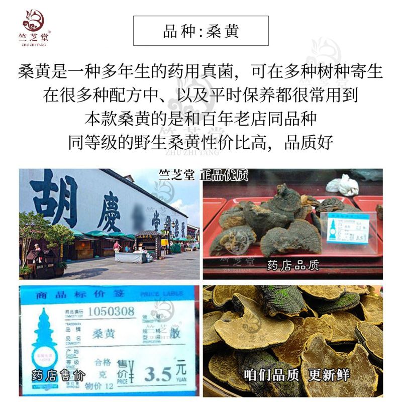 野生桑黄正品桑黄整枝切块纯野生桑黄干货中药材