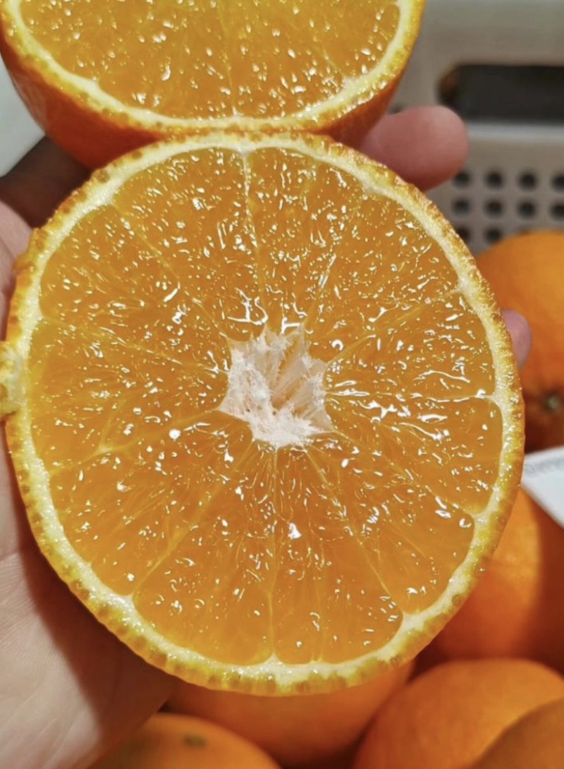 纽荷尔脐橙榨汁果，产地直发，货量充足，对接全国原料厂家