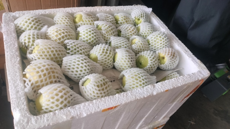 奶油芭乐，口感软糯香甜