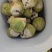 鄄城县郑营镇的芥菜旮瘩大小规格按需求分拣网袋纸箱都有接