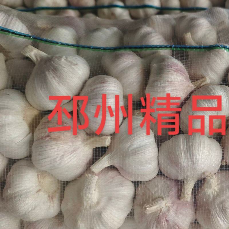 邳州精品加工大蒜，市场，电商，商超，现货供应货源充足，