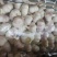 邳州精品加工大蒜，市场，电商，商超，现货供应货源充足，