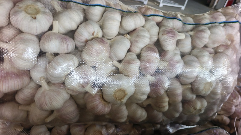 邳州精品加工大蒜，市场，电商，商超，现货供应货源充足，