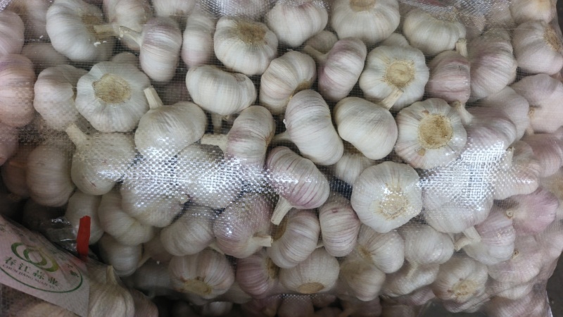 邳州精品加工大蒜，市场，电商，商超，现货供应货源充足，