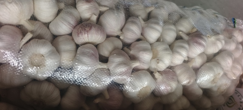 邳州精品加工大蒜，市场，电商，商超，现货供应货源充足，