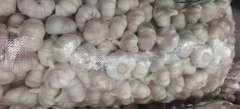 邳州精品加工大蒜，市场，电商，商超，现货供应货源充足，