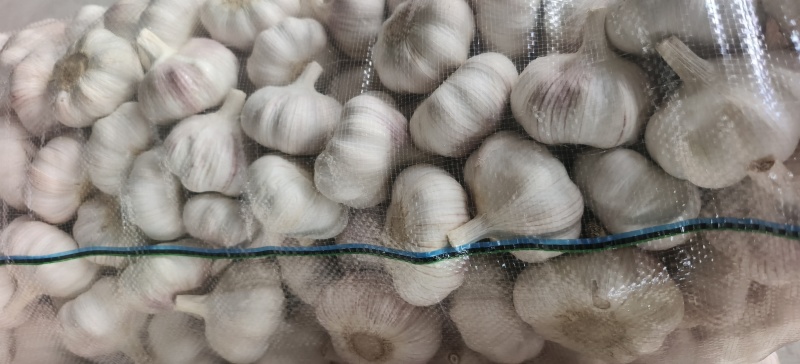邳州精品加工大蒜，市场，电商，商超，现货供应货源充足，