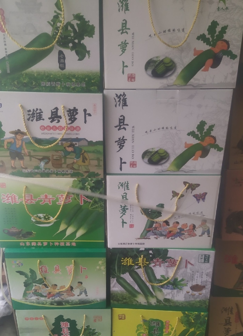 正宗潍县萝卜支持全国发货需要的联系