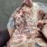 猪尾叉骨，带肉率高，超便宜