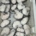 水鳕片肉质细嫩，社区团购，超市促销优选欢迎随时订购
