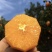 【精品】纽荷尔脐橙榨汁果,原产地一手货源直发,对接全国原料厂