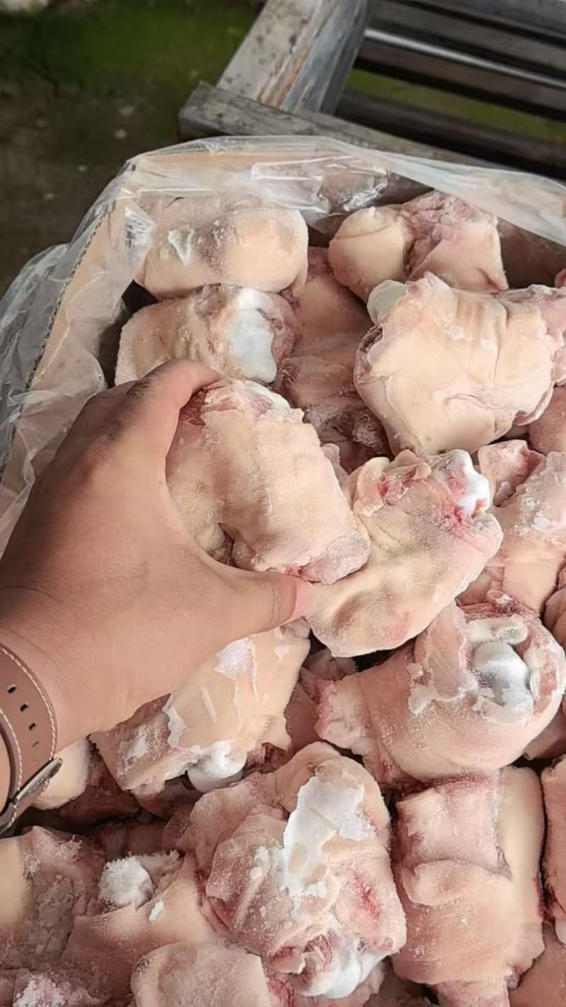 肥猪脚圈10kg/箱两个规格20-37个38-50个左右