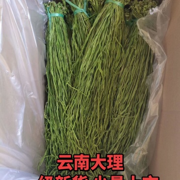 精品优质火锅贡菜产地直供货源充足欢迎选购