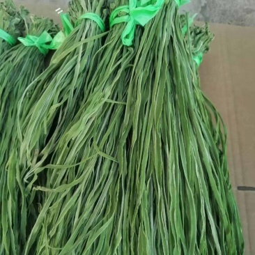 精品优质火锅贡菜产地直供爽口贡菜干货源充足欢迎选购